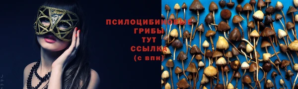 синтетический гашиш Корсаков